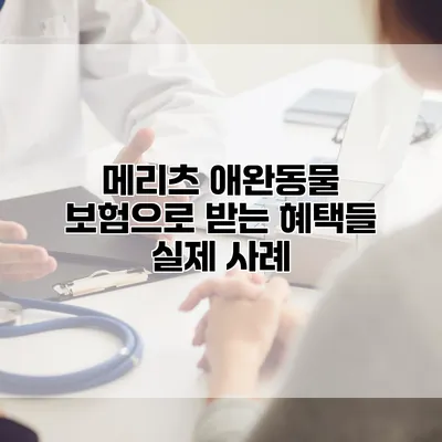 메리츠 애완동물 보험으로 받는 혜택들 실제 사례
