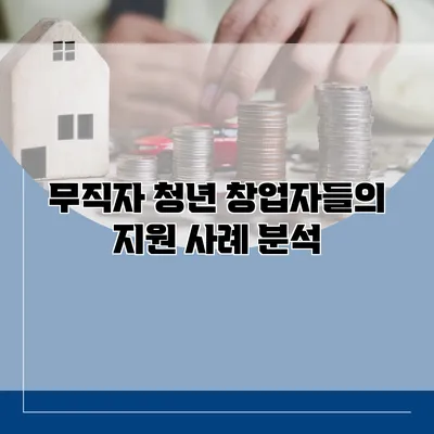무직자 청년 창업자들의 지원 사례 분석