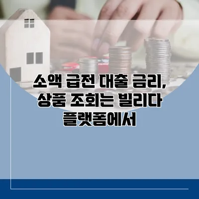 소액 급전 대출 금리, 상품 조회는 빌리다 플랫폼에서