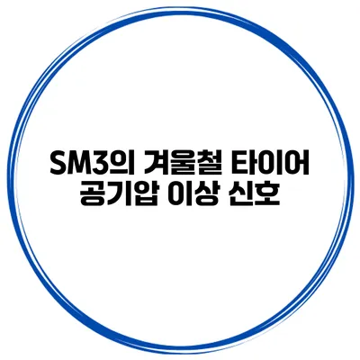 SM3의 겨울철 타이어 공기압 이상 신호