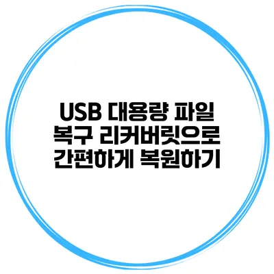 USB 대용량 파일 복구 리커버릿으로 간편하게 복원하기