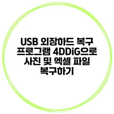 USB 외장하드 복구 프로그램 4DDiG으로 사진 및 엑셀 파일 복구하기