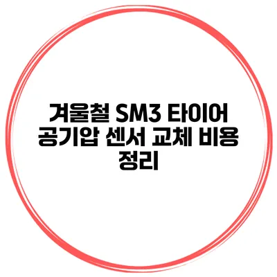 겨울철 SM3 타이어 공기압 센서 교체 비용 정리