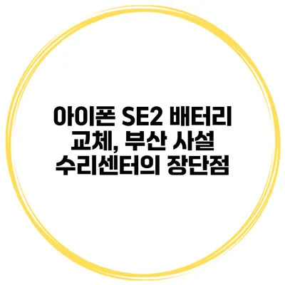 아이폰 SE2 배터리 교체, 부산 사설 수리센터의 장단점
