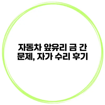 자동차 앞유리 금 간 문제, 자가 수리 후기