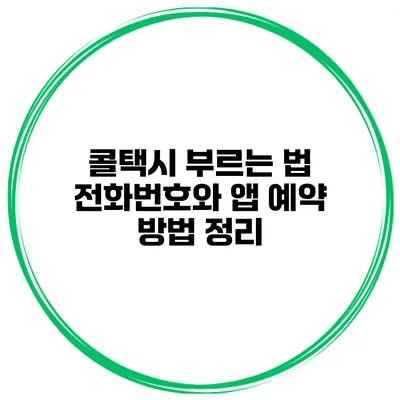 콜택시 부르는 법 전화번호와 앱 예약 방법 정리